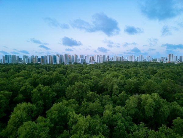 Découvrez le kiosque à pizzas à Commentry : pizzas artisanales!